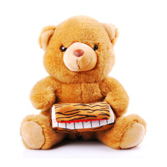 Plush toy animals isolated on a white background