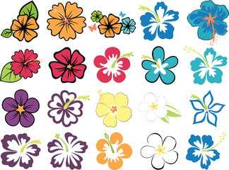 set of colorful hibiscuses and plumeria - obrazy, fototapety, plakaty