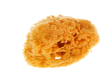 Natural sponge