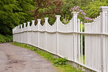 white picket fence alongside a garden