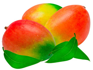 Mango isolated on white background