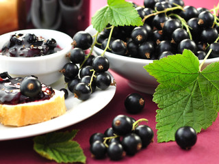 Schwarze Johannisbeeren © Printemps