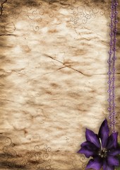 old paper with purple flower