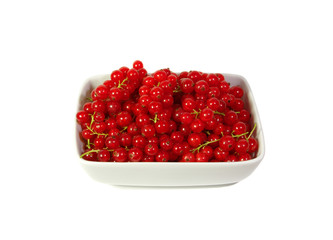 Fresh red currant berry in a plate at white background