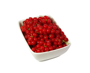 Fresh red currant berry in a plate at white background