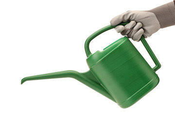 Person with gardening glove holding a watering can