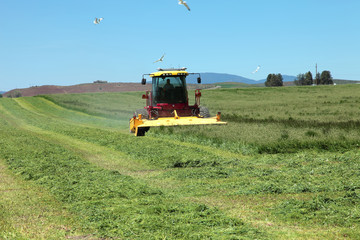 Organic agriculture & farmlands, south Oregon.