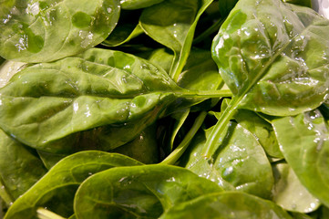Fresh spinach
