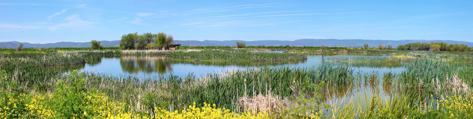 Naklejka premium National wildlife refuge & marshes, Klamath Falls Oregon.