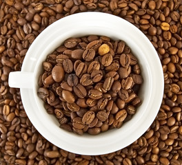 Coffee beans in the cup against the grain of