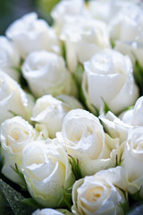 Bouquet de roses blanches