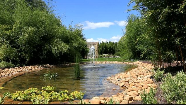 bassin aquatique de jardin