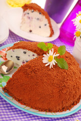 blueberry cake with chocolate crumble topping