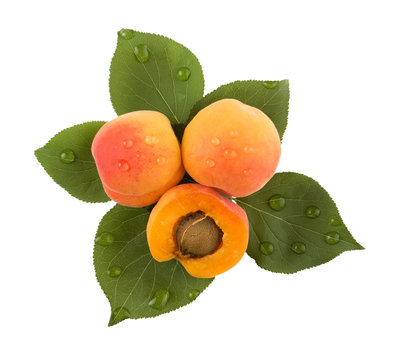 Apricots and leaves