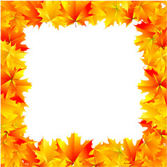 autumn frame