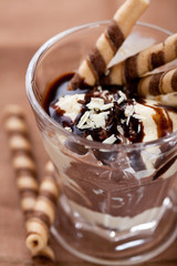 Chocolate and vanilla ice cream with chocolate sauce