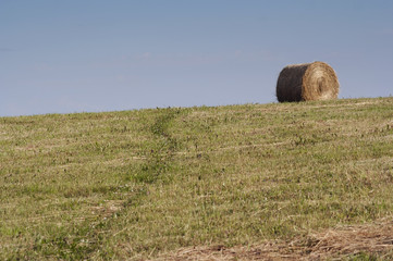 haymaking time