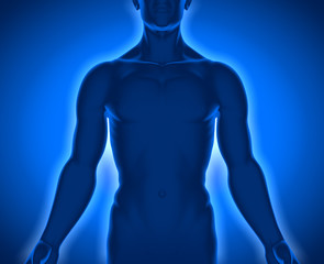 Fototapeta premium Männlicher Oberkörper