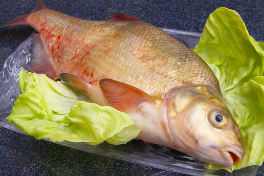 Karp,Fisch