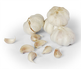 Garlic on a white background