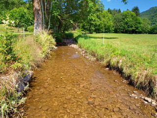 Obraz premium SECHERESSE