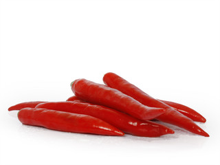 Pepper on white background