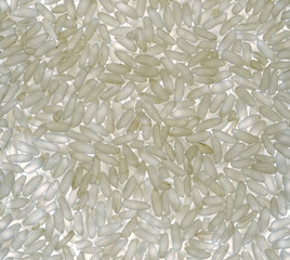 high resolution close-up background of white rice variety
