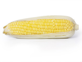 Corn on a white background