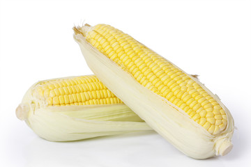 Corn on a white background