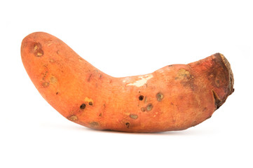 Sweet potato (ipomoea batatas)