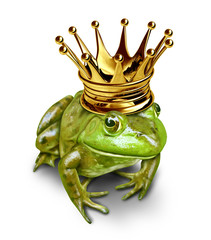 Frog prince with gold crown