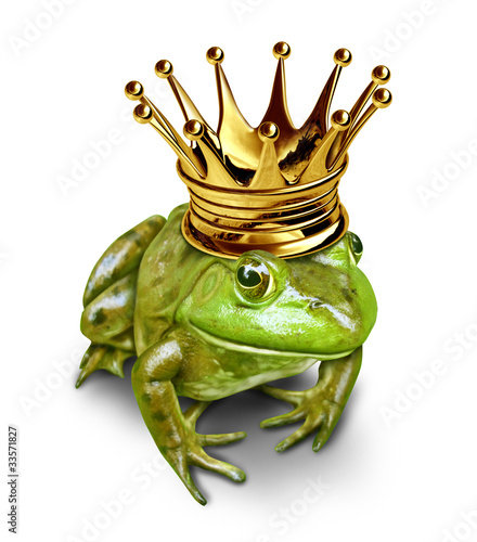 природа графика лягушка принц корона nature graphics frog Prince crown без смс