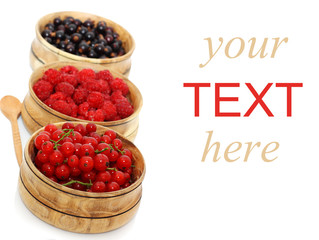 berry background