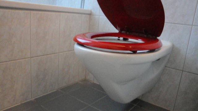 Toilette