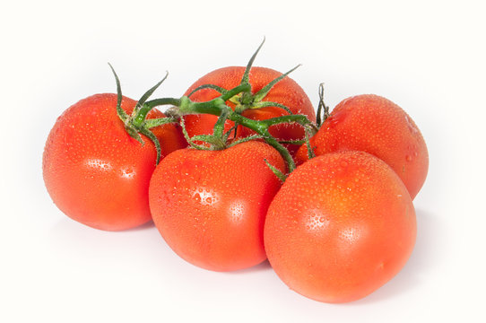 Tomaten mit Wassertropfen