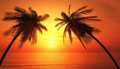 Naklejka na ściany i meble Dwie palmy na plaży