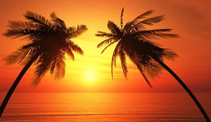 Tuinposter Zwei Palmen am Strand © styleuneed