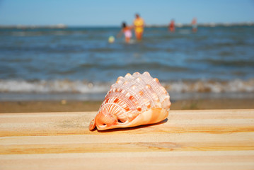 Ravenna, Adriano sand beach summer vacation