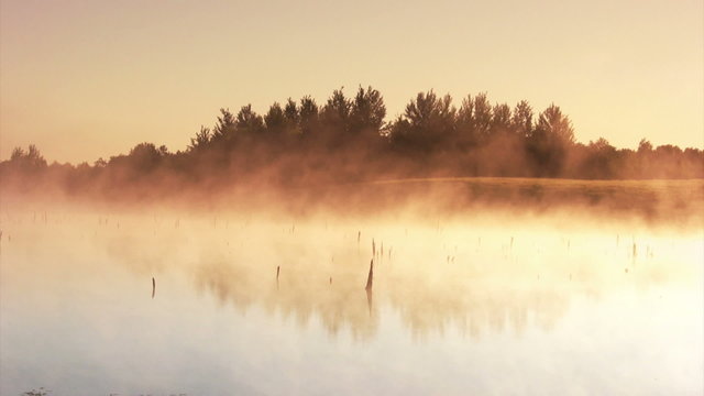 Misty morning sunrise on the marsh