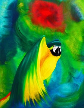 Pappagallo Ara Dipinto a Olio-Oil painting Macaw Parrot