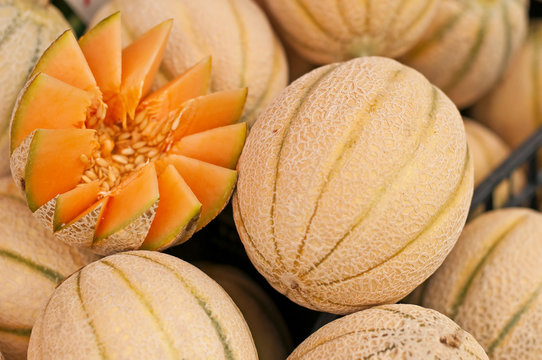 Honigmelone
