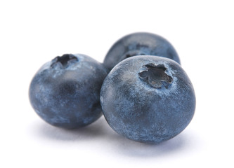 Blueberry berry closeup