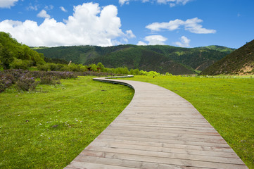 Obraz premium Road to nature (national park Pudacuo in Yunnan, China)