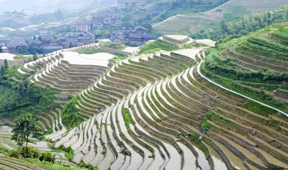 Gordijnen Rice terraces and village © wusuowei