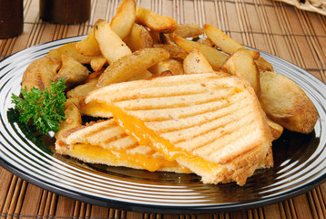 Grilled cheese sandwich and fries