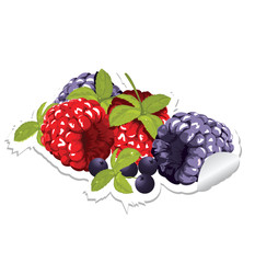 label with berries