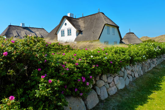 Reetdach