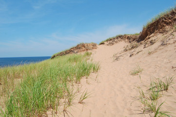 sand dunes