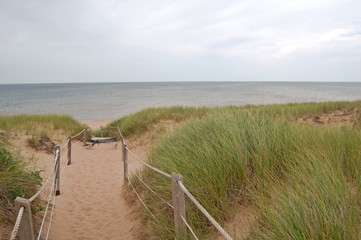 protected sand dunes