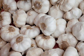 Knoblauch